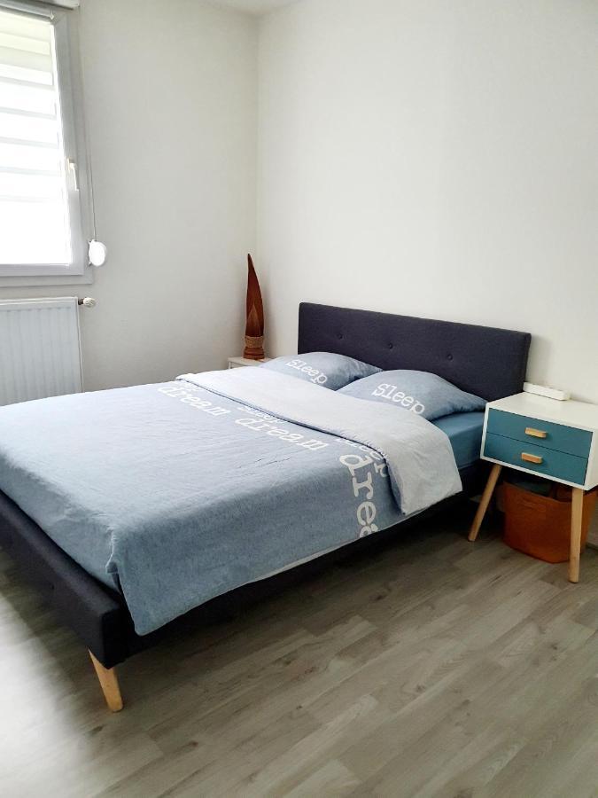 Bel Appartement Cosy Στρασβούργο Εξωτερικό φωτογραφία
